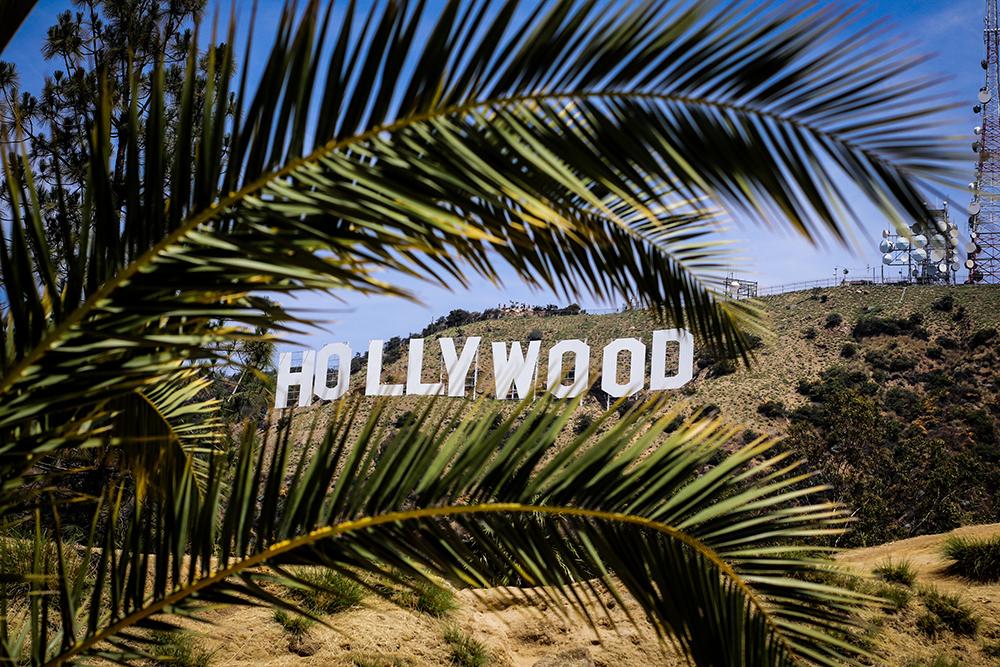 Ein Lächeln à la Hollywood - Wondersmile GmbH